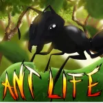 Ant Life Roblox Game