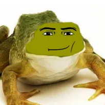 obby but you are a frog Roblox Game